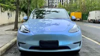 Tesla Gloss Fancy Rock Grey Color Fliper Car Vinyl Wrap review 1