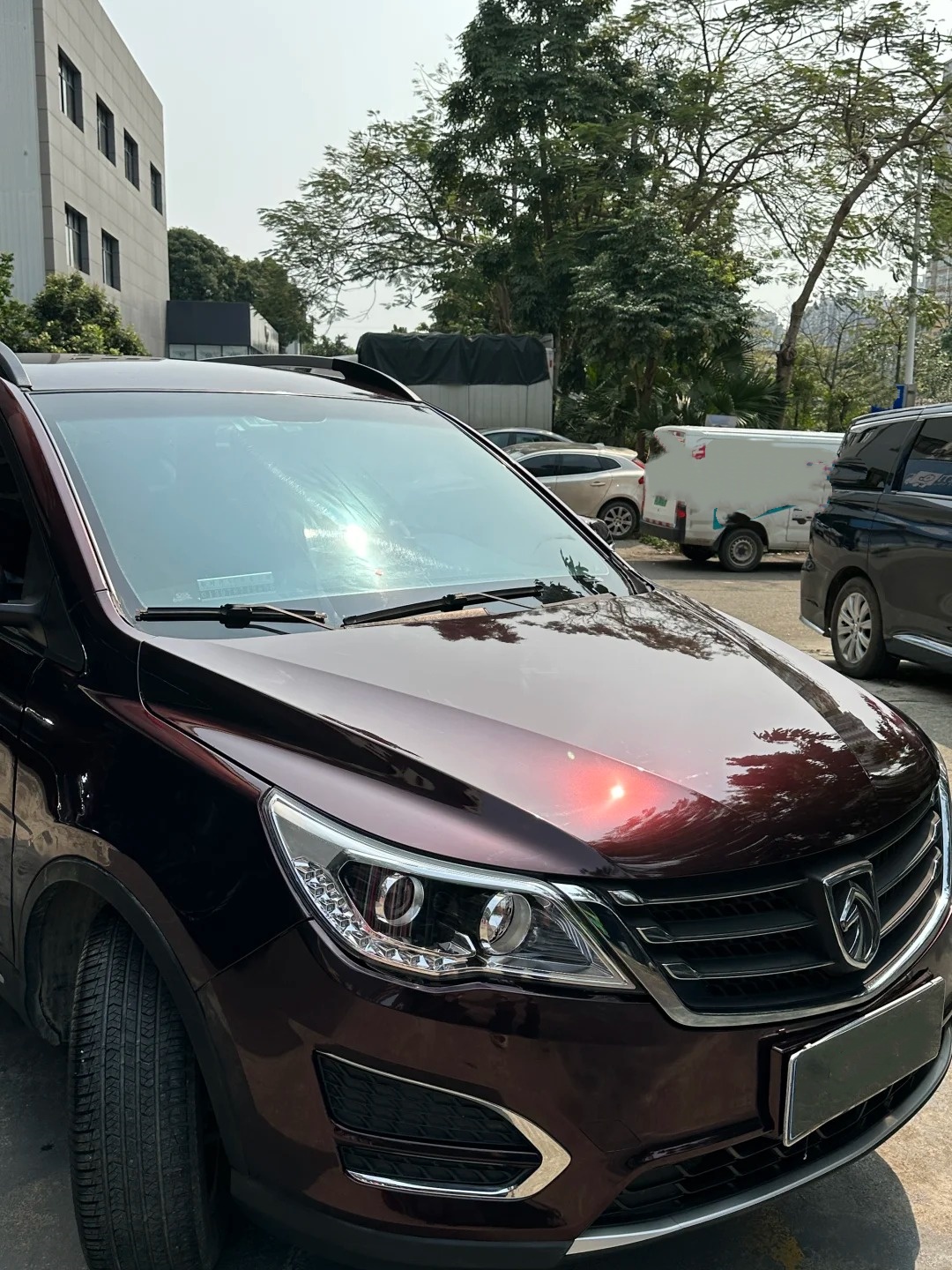 PET Gloss Metallic Black Rose Car Vinyl Wrap review ethrg 04