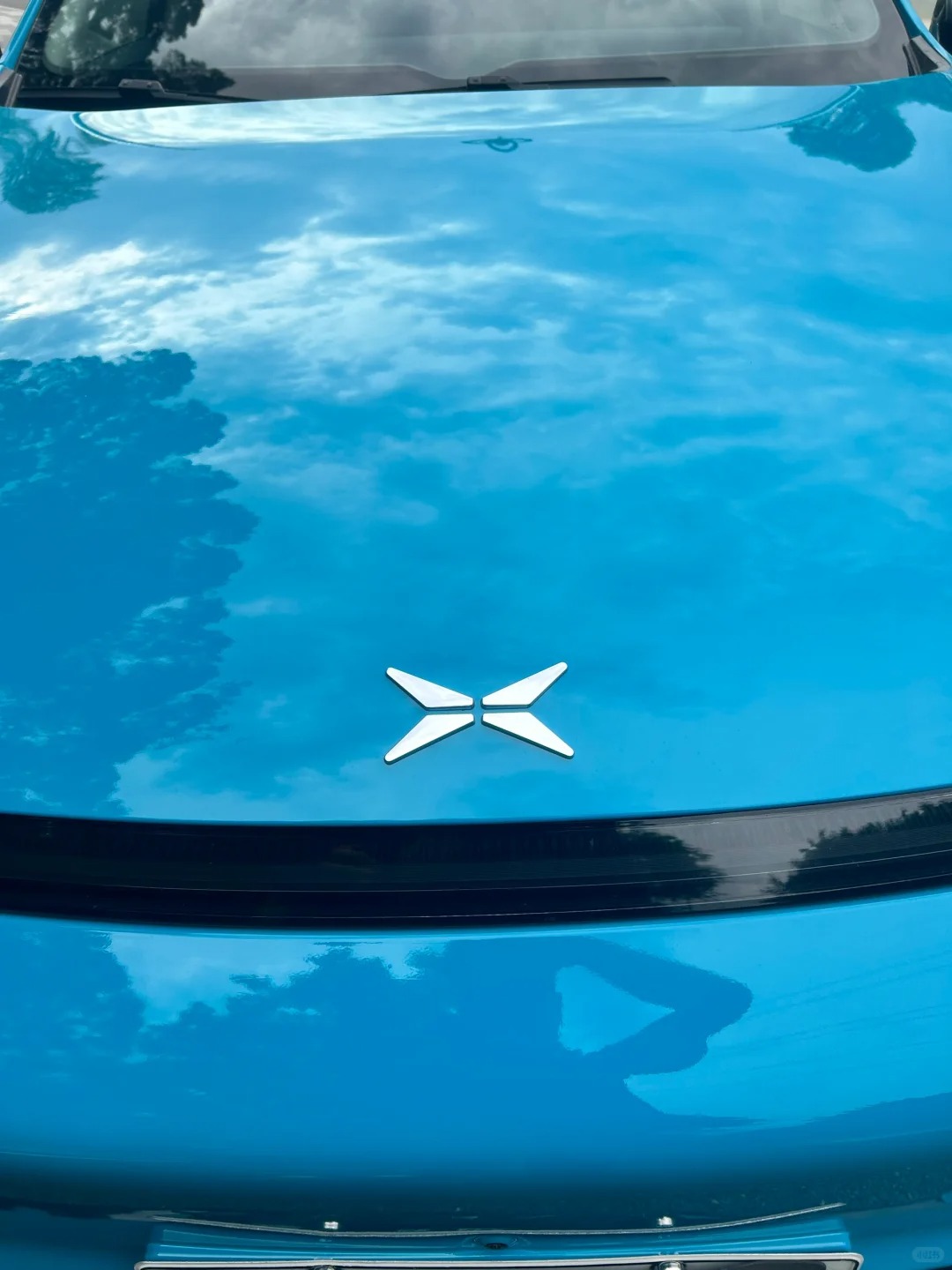 PET Super Gloss Miami Blue Car Vinyl Wrap review fdhfds 02