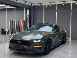 Black Olive Car Vinyl Wrap review dsger 01