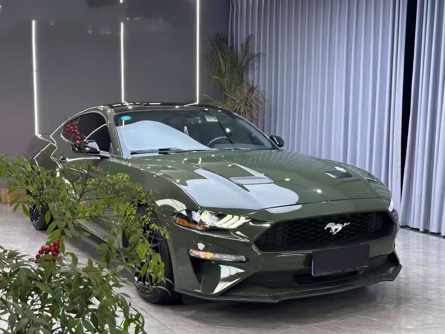 Black Olive Car Vinyl Wrap review dsger 02