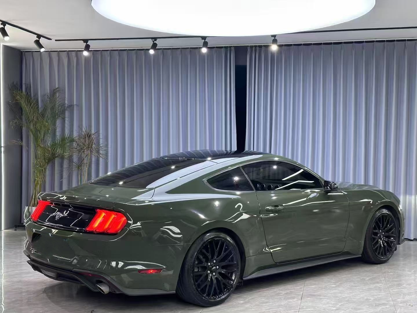 Black Olive Car Vinyl Wrap review dsgfeg