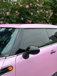 Macaron Cherry Pink Car Vinyl Wrap review 2