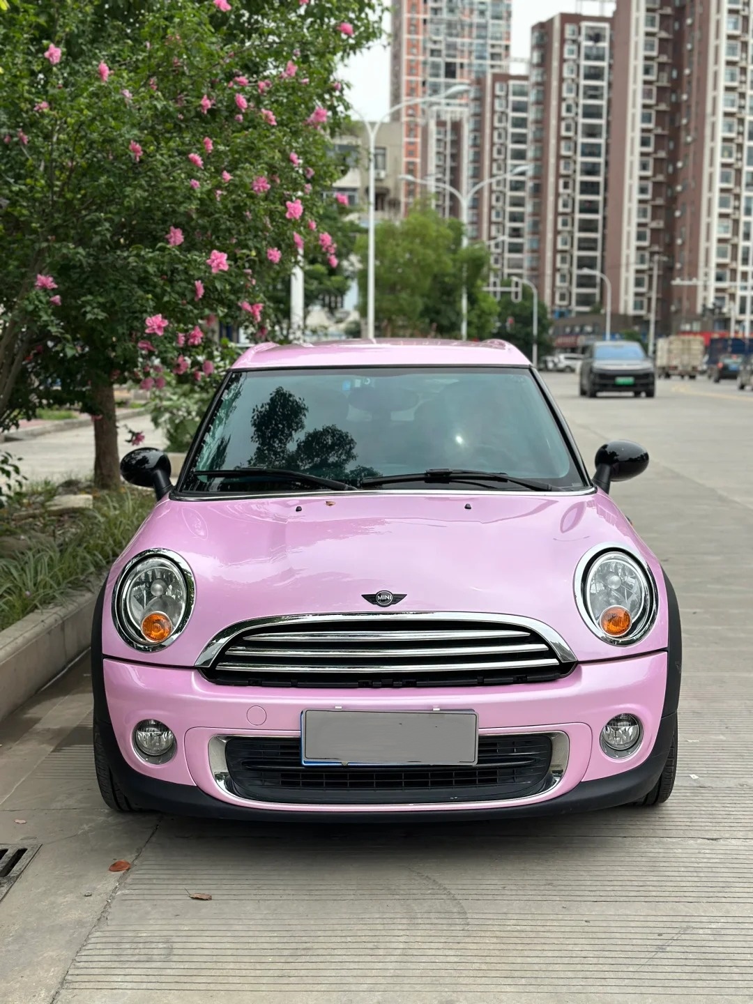 Macaron Cherry Pink Car Vinyl Wrap review gdre 02