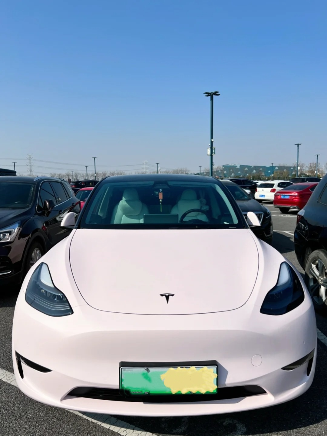 Tesla Ultimate Flat Baby Pink Car Vinyl Wrap review esgde 02