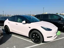 Tesla Ultimate Flat Baby Pink Car Vinyl Wrap review esgde 01