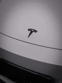 Tesla Ultimate Flat Baby Pink Car Vinyl Wrap review 2