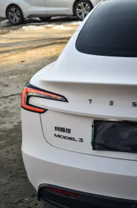 Tesla Ultimate Flat Baby Pink Car Vinyl Wrap review 2