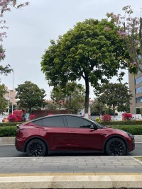 PET Liquid Metallic Dragon Blood Red Car Vinyl Wrap review 0
