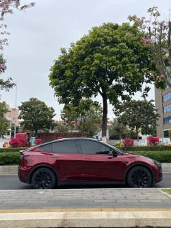 PET Liquid Metallic Dragon Blood Red Car Vinyl Wrap review sagvrg 01