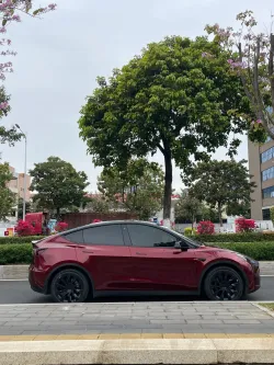 PET Liquid Metallic Dragon Blood Red Car Vinyl Wrap review sagvrg 01