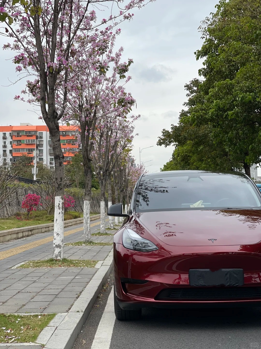 PET Liquid Metallic Dragon Blood Red Car Vinyl Wrap review sagvrg 02