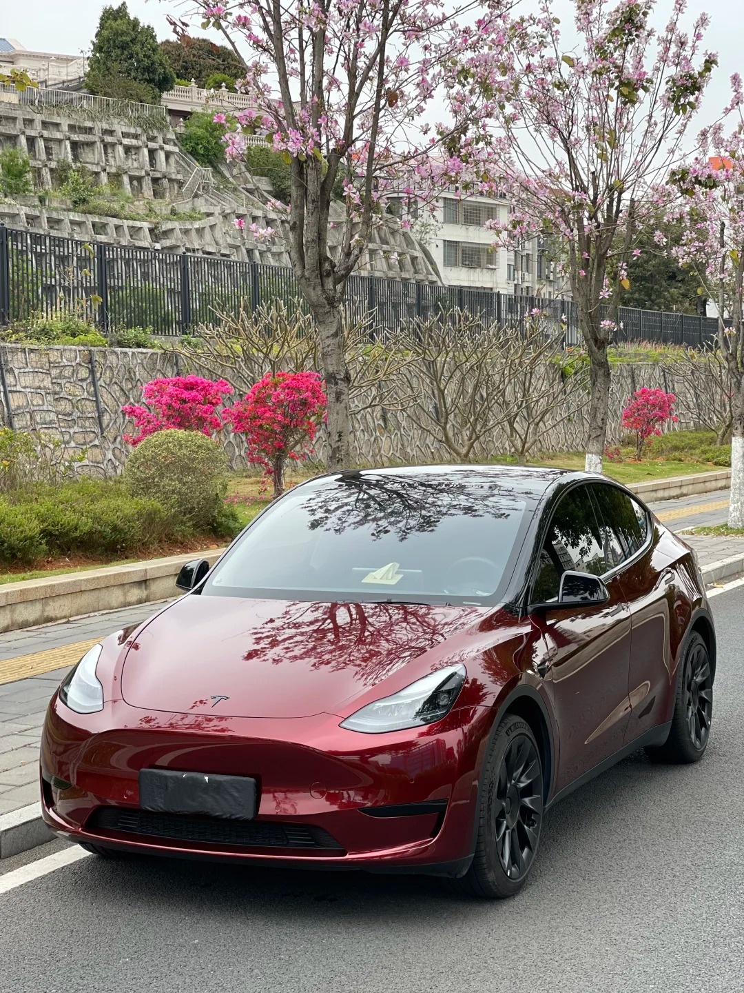 PET Liquid Metallic Dragon Blood Red Car Vinyl Wrap review sagvrg 03