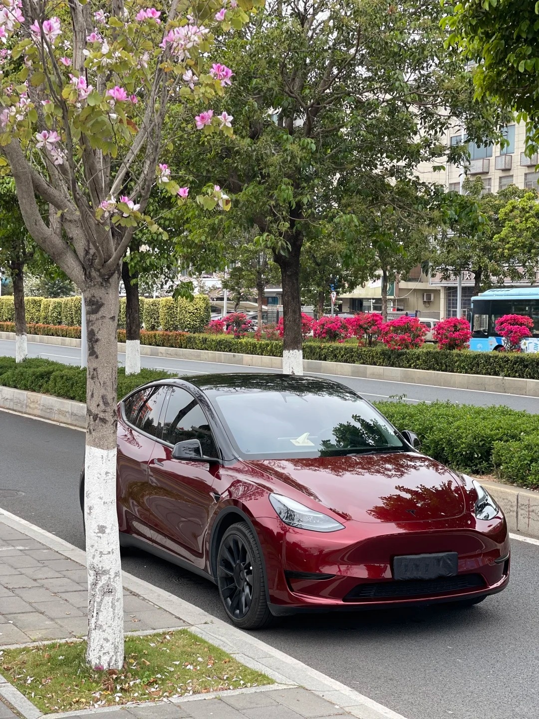 PET Liquid Metallic Dragon Blood Red Car Vinyl Wrap review 0