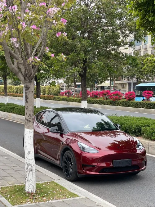 PET Liquid Metallic Dragon Blood Red Car Vinyl Wrap review 