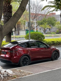 PET Liquid Metallic Dragon Blood Red Car Vinyl Wrap review 0