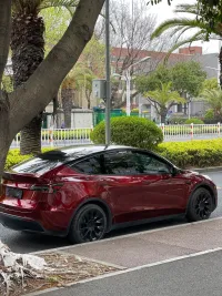 PET Liquid Metallic Dragon Blood Red Car Vinyl Wrap review 0