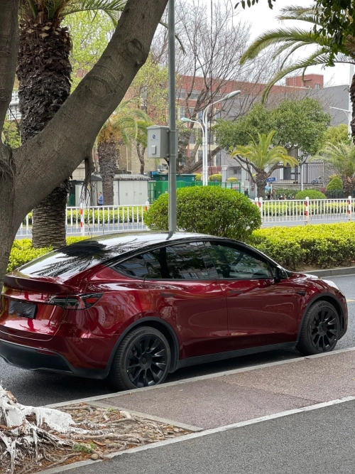 PET Liquid Metallic Dragon Blood Red Car Vinyl Wrap review 