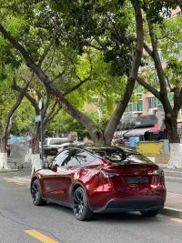 PET Liquid Metallic Dragon Blood Red Car Vinyl Wrap review 1