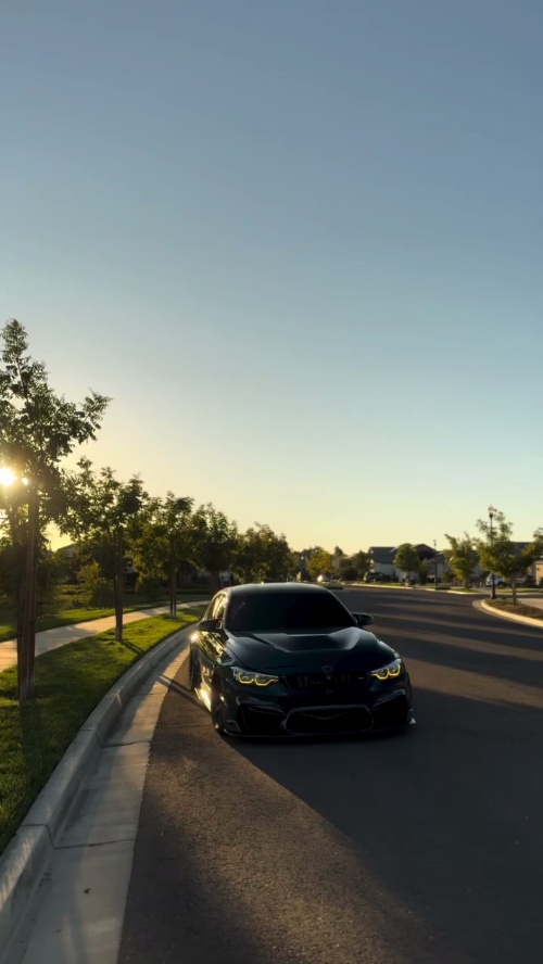 Gloss Mohsen Green Car Vinyl Wrap review 