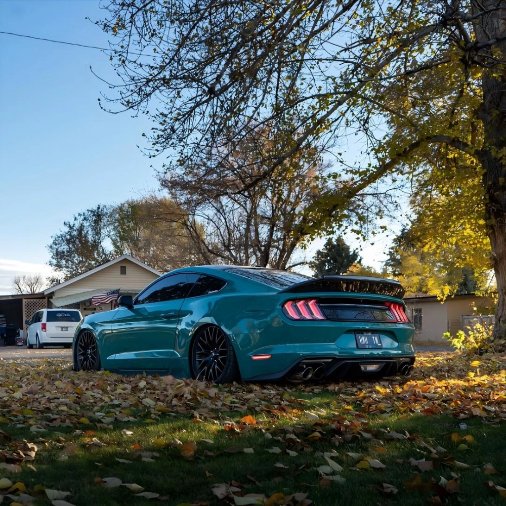 Super Gloss Pine Green Car Vinyl Wrap review fgb 01