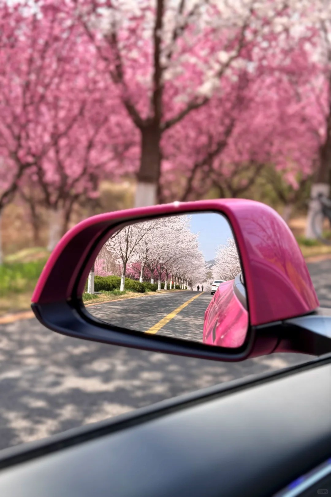 PET Super Gloss Rose Red Car Vinyl Wrap review fdbr 02