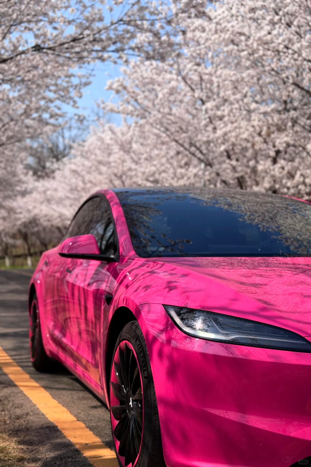 PET Super Gloss Rose Red Car Vinyl Wrap review fdbr 00