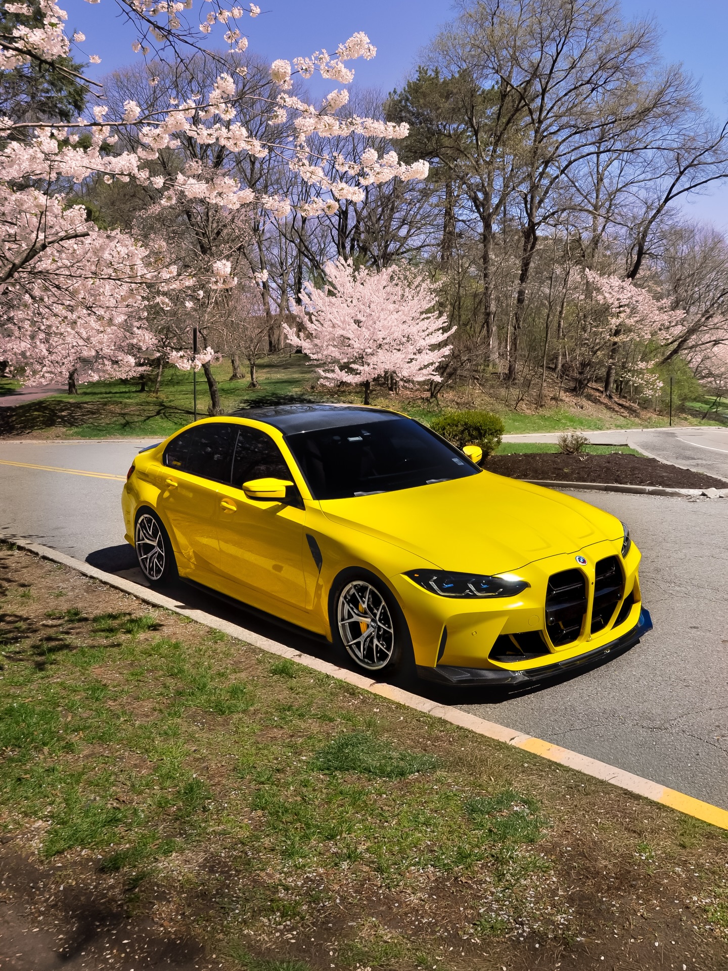 PET Gloss Light Sunflower Yellow Car Vinyl Wrap review pahsdt 00