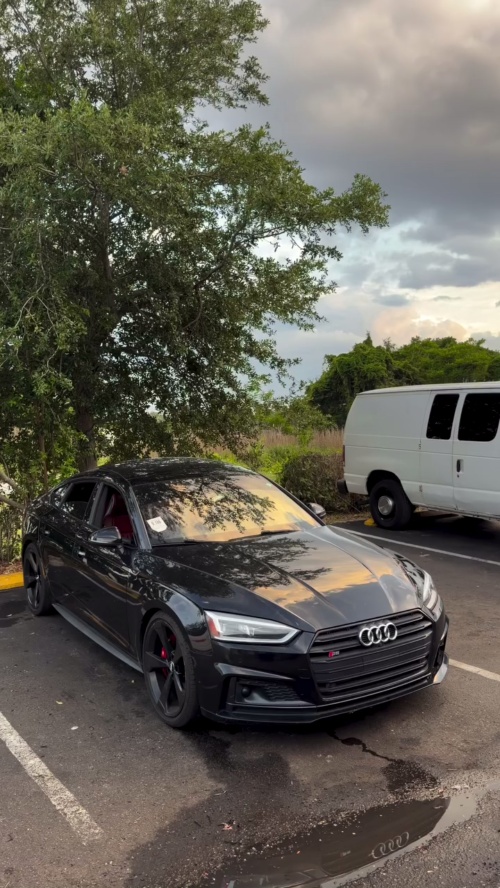 Gloss Metallic Sonoma Green Car Vinyl Wrap review 