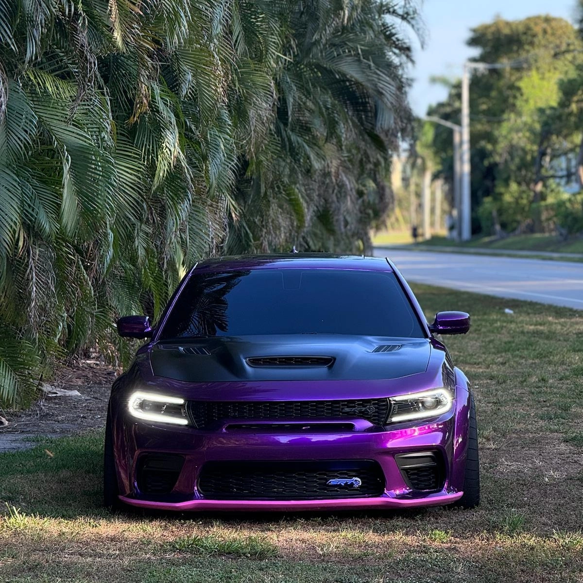 Gloss Metallic Grape Purple Car Vinyl Wrap