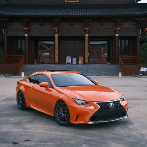 Orange Wrap Magic：Grab Your Heart!