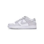 LJR Batch Nike Dunk Low Venice (W) DD1503-116