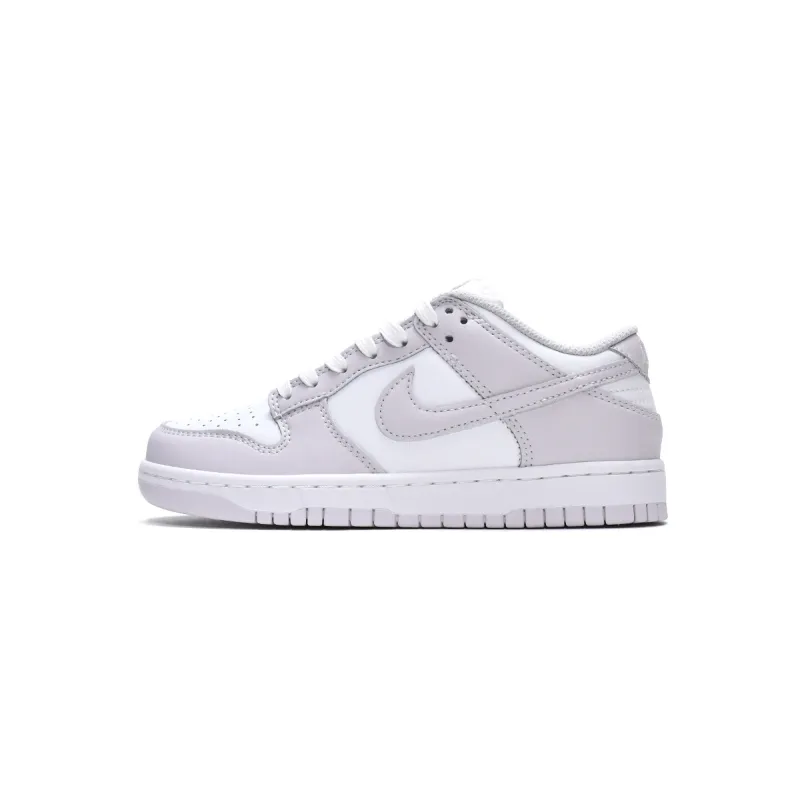 LJR Batch Nike Dunk Low Venice (W) DD1503-116