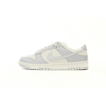 LJR Batch Nike Dunk Low Relief FJ4553-133