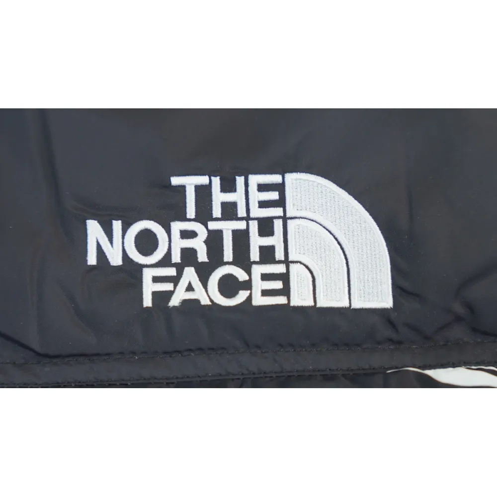 the n0*h F**e splicing white and black zebra