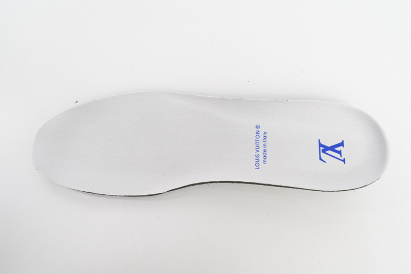 Louis Vuitton LV Skate Sneaker Marine White 1AARRL