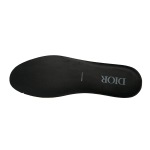 Dior B30 New Reflective 3SN27ZIR-16536