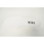 Dior B23 HT Oblique Transparency Electric Embroidered Benim 3SN272ZIR 16536