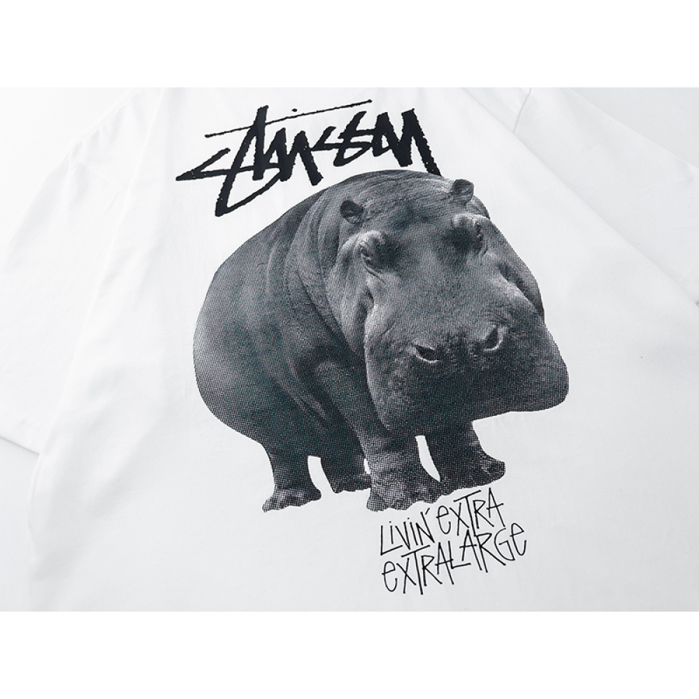 Stussy T-Shirt XB888