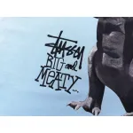 Stussy T-Shirt XB915