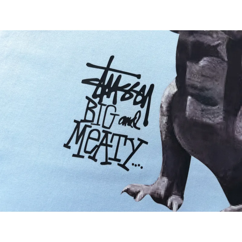 Stussy T-Shirt XB915