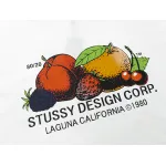 Stussy T-Shirt XB955