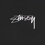 Stussy T-Shirt XB987