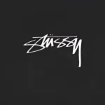 Stussy T-Shirt XB987
