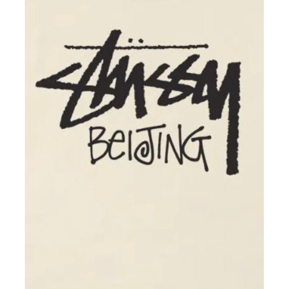 Stussy T-Shirt XB989