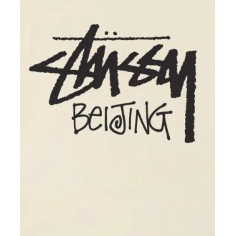 Stussy T-Shirt XB989