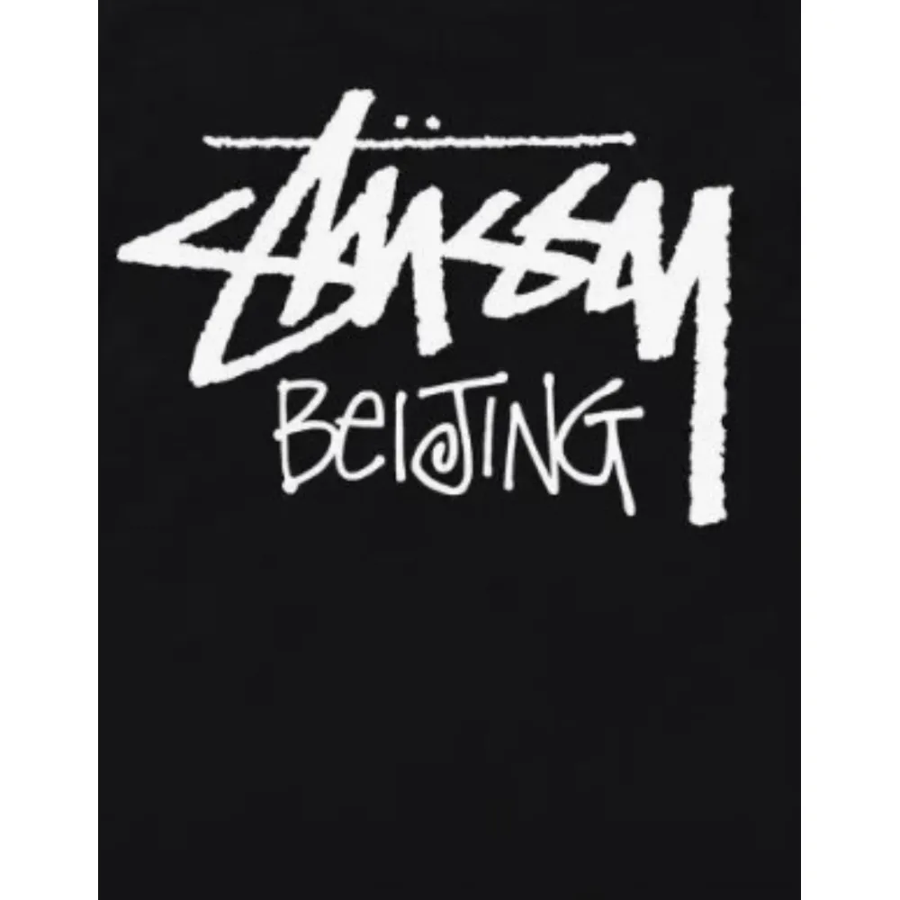 stussy t-shirt xb989