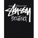 Stussy T-Shirt XB989