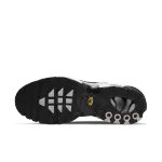 Nike Air Max Plus Black Silver White DM0032-003