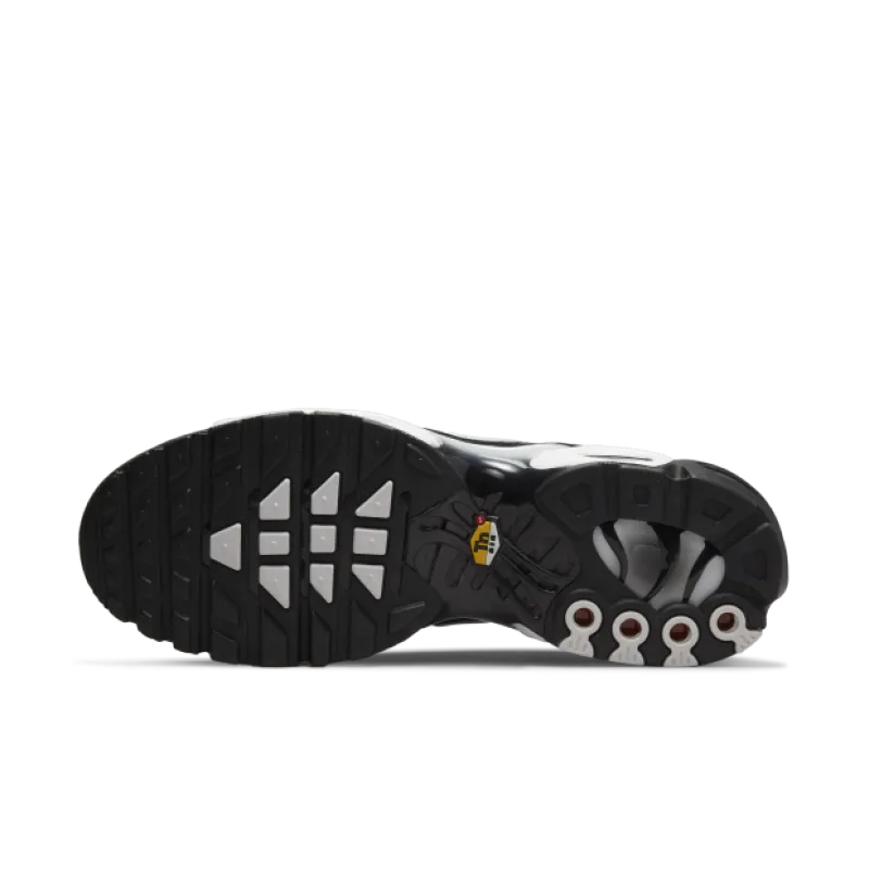 Nike Air Max Plus Black Silver White DM0032-003